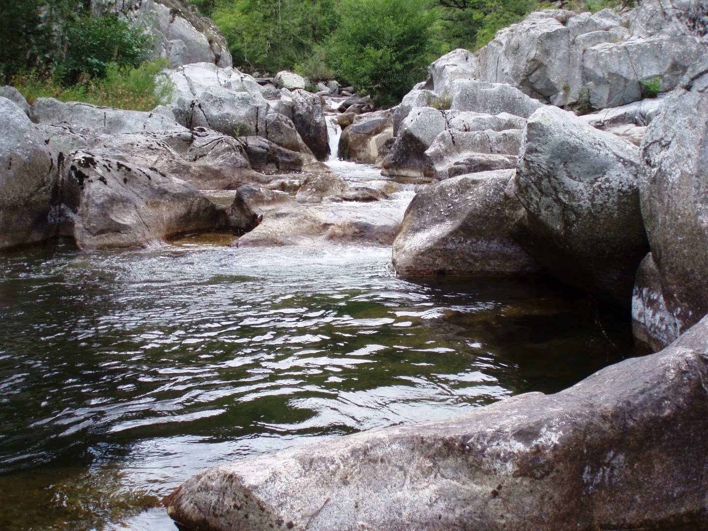 Les gorges de la Dourbie